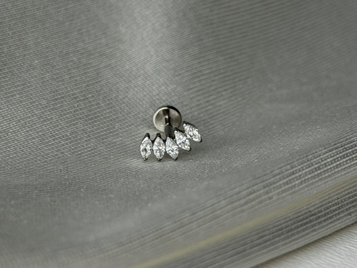 Drop Shine Titanyum Piercing - Görsel 3